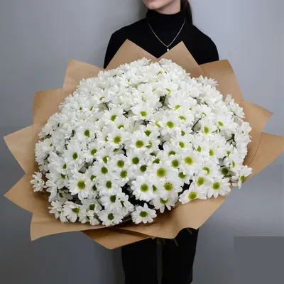 Букет гигант из хризантем №579 - 🌹 Цветы Новосибирск :