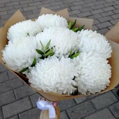Букет крупных белых хризантем с Доставкой по Выгодной Цене в Краснодаре