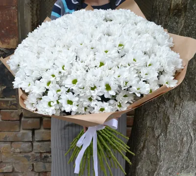 Букет 101 белая хризантема с доставкой в Киеве от сети магазинов Камелия