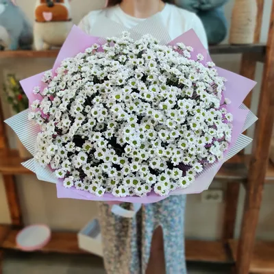 Букет из 15 кустовых хризантем - Доставкой цветов в Москве! 21231 товаров!  Цены от 487 руб. Цветы Тут