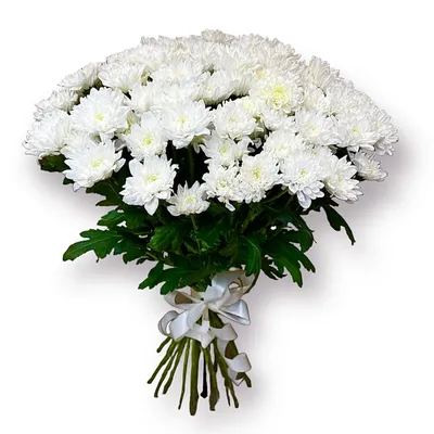 Букет из роз и хризантем, Цветы и подарки в Пушкино, купить по цене 2590  RUB, Авторские букеты в Mysunflower с доставкой | Flowwow
