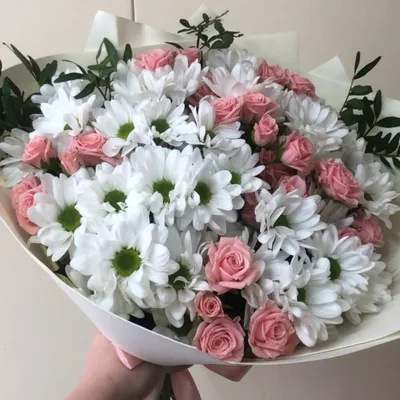 Букет хризантем — Доставка цветов в Астрахани