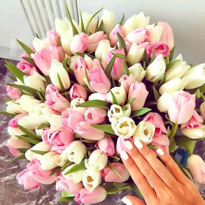 Нежный букет из 101 тюльпана за 14 190 руб. | Бесплатная доставка цветов по  Москве