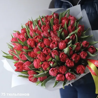Букет из красных тюльпанов - заказать доставку цветов в Москве от Leto  Flowers