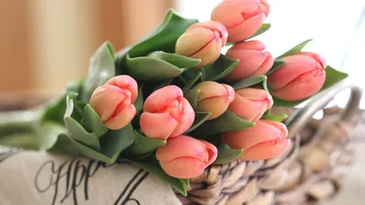 85 разноцветных тюльпанов микс по цене 13025 ₽ - купить в RoseMarkt с  доставкой по Санкт-Петербургу