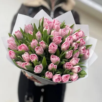 Купить букет из тюльпанов и рускуса по доступной цене с доставкой в Москве  и области в интернет-магазине Город Букетов