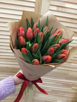 Букет 278 Сортовые тюльпаны микс - Цветы.PRO