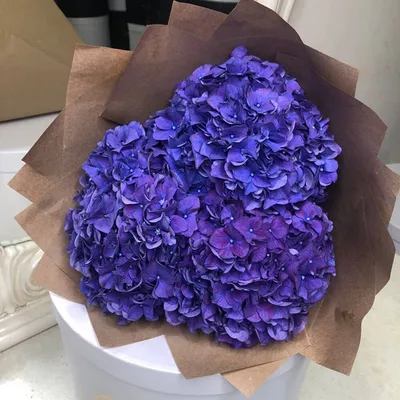 3 фиолетовые гортензии в букете за 4 190 руб. | Бесплатная доставка цветов  по Москве