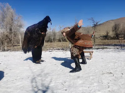 Какая гармония между человеком и природой скрыта в казахском танце орла в  Синьцзяне? | www.silunews.kg