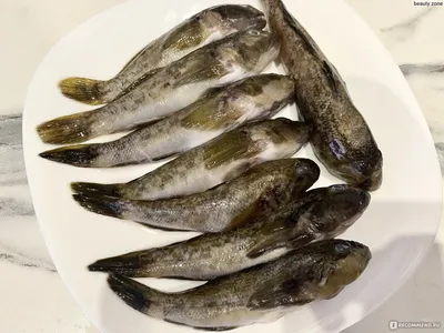 Рыба Бычок морская - «🌊Бычок, маленький, но такой вкусный!💙» | отзывы