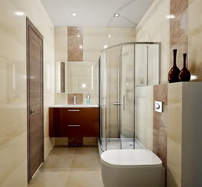 Интерьер ванной комнаты совмещенной с туалетом - идеи дизайна