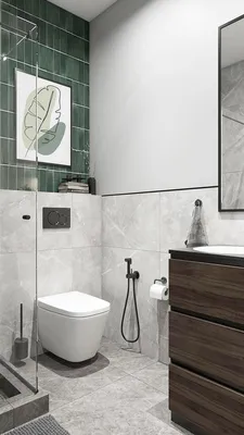 Дизайн ванной комнаты с туалетом - 60 фото