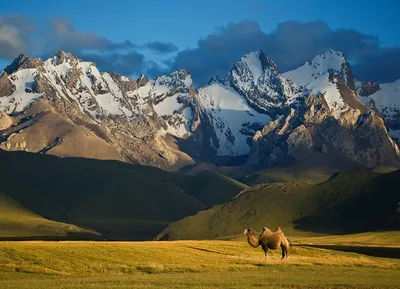 Кыргызстан на Великом Шелковом Пути | Trip to Kyrgyzstan