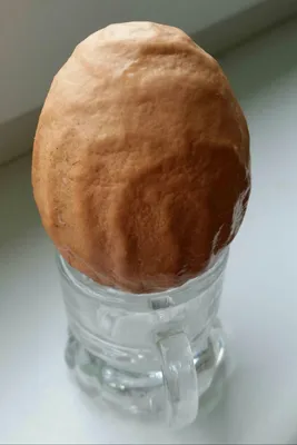 Это вены на яйце? | Пикабу