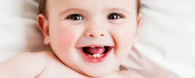 Как режутся молочные зубы у детей – схема и сроки появления первого зуба