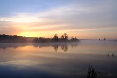 Утро после выборов: золотой весенний рассвет взошел над морем (фото, видео)  — УСІ Online