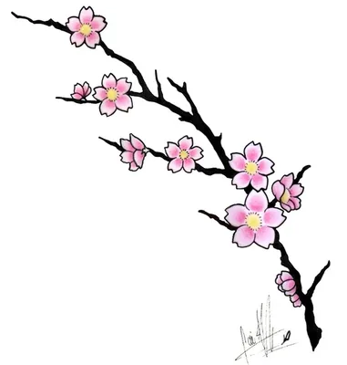 Рисунок ветка сакуры легкий - 76 фото