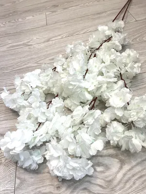Купить Сакура искусственная.Искусственная ветка сакуры ( белая 1 метр ),  цена 95 ₴ — Prom.ua (ID#758202024)