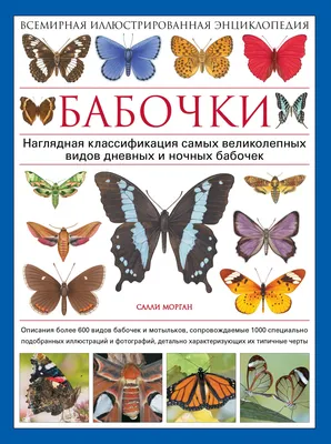 Бабочки. Всемирная иллюстрированная энциклопедия. Салли Морган - «Чудесная  энциклопедия для любителей бабочек» | отзывы