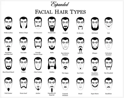 Как выбрать тип бороды - WizGrease. Органическая мужская косметика и  аксессуары