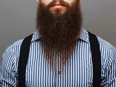 Типы бороды идеально подходят для разных типов лица ⋆ Твоя Мода
