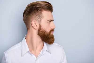 Как правильно выбрать форму бороды: советует барбер - The-Challenger.ru
