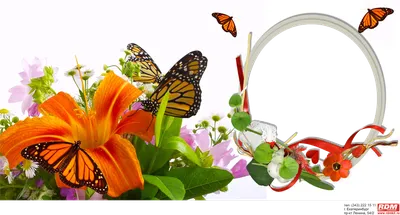 Шаблон к 8 марта для печати на кружке с рамкой под фотографию, цветами и  бабочками