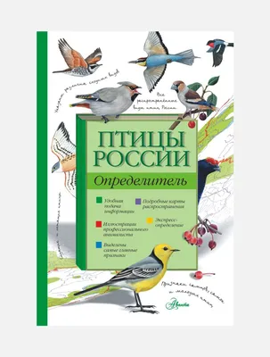 Чиж или зяблик: 10 увлекательных книг про птиц для детей – Афиша