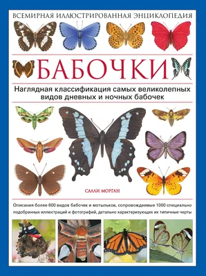 Бабочки Всемирная иллюстрированная энциклопедия