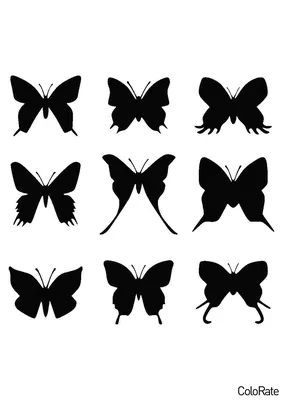 Трафарет Разные виды бабочек для вырезания распечатать на А4