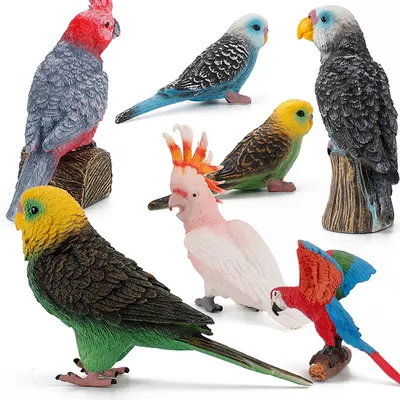 Птицы птицы твердый статический попугай модель игрушки Детское забавное  украшение подарок семь видов попугаев гаражные наборы куклы-животные -  купить по выгодной цене | AliExpress