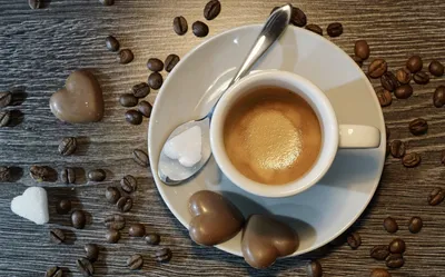 ☕️Лучшие рецепты кофе в турке на 2020 год | Coffee recipes, Coffee decor  kitchen, Gourmet coffee