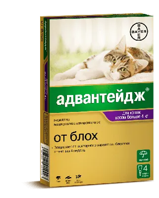 Адвантейдж капли для кошек свыше 4 кг от блох — интернет магазин «Зообудка»