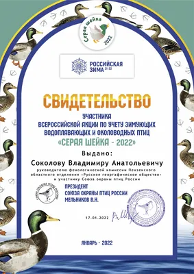 Экологическая акция \"Серая шейка\" прошла в Пензенской области в восьмой  раз! | Русское географическое общество
