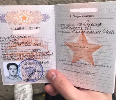 Челябинец получил военный билет на имя «Билет Призыва нет». Фото