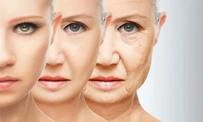 Возрастные изменения кожи лица у женщин и методы борьбы с ними -  Demax.com.ua