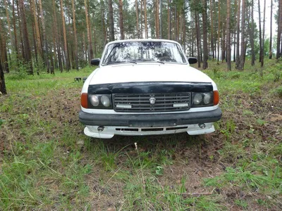 Купить ГАЗ 31029 Волга 1995 г.в. в Братске, Продам ГАЗ 31029, цвет белый, в  хорошем тех. состоянии, сделан внешний тюнинг, тюнинг Доработан внешний вид  автомобиля