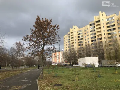 Из Ростовской области в топ городов РФ с самым чистым воздухом попал только  Волгодонск | Новости