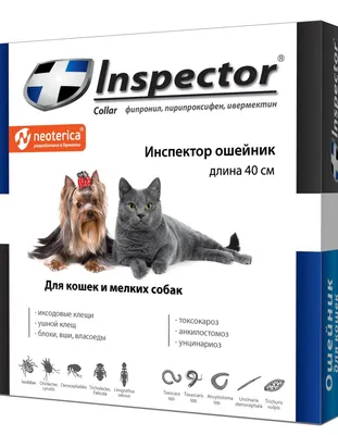 Клещи у собак и кошек: лечение в Киеве, как вытащить клеща, таблетки от  клещей подкожных, ушных, средства, что делать когда собаку укусил клещ,  признаки, профилактика - Vet-Call24 Киев