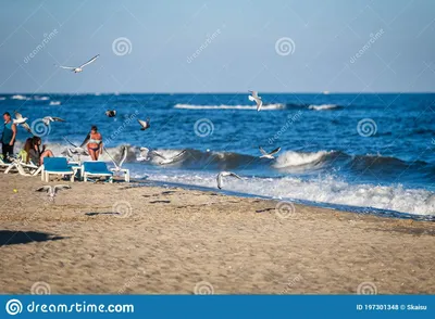 Веб-камеры в ЗАТОКЕ с видом на пляж и Черное море