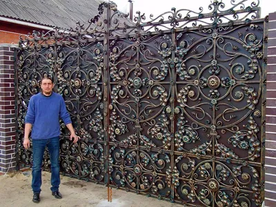 Кованые ворота — Евгений Родин