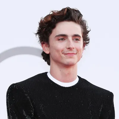 Тимоти Шаламе - Поиск в Google | Timothee chalamet, Character inspiration,  Face