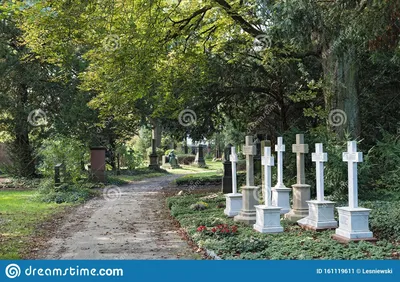 памятники и надгробия на главном кладбище в франкфурте Редакционное Фото -  изображение насчитывающей ðºñ€ðµñ ñ‚, ð½ð°ð: 161119611