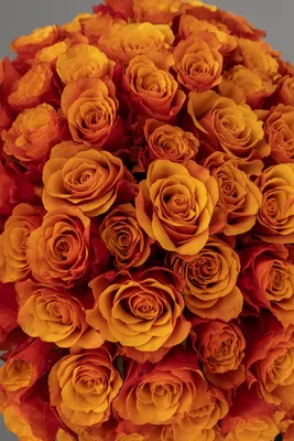 101 оранжевая роза стандарт за 14 540 руб.