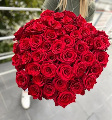 Красная роза 70см