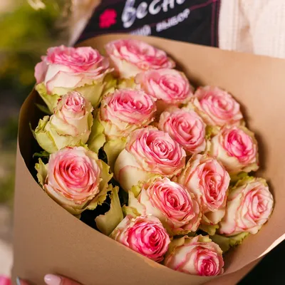 Букет из 15 роз сорта \"Frutetto\" (Эквадор, 50 см) - Доставка цветов в  Санкт-Петербурге | Весна - сеть цветочных магазинов