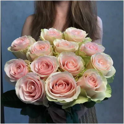 Букет из 15 нежно розовых роз сорта фрутетто 60см (эквадор) с атласной  лентой. — купить в интернет-магазине по низкой цене на Яндекс Маркете