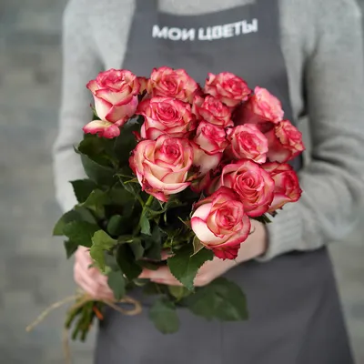 Купить Роза «Палома», Эквадор в Москве