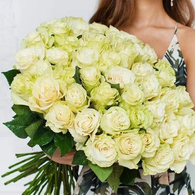 ✓ Розы (Эквадор) сорт Mondiale ◈ Купить он-лайн в интернет-магазине цветов  Цветариус ◈ Цена - 90 руб. ◈ (Артикул - )