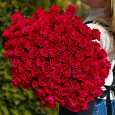 Букет из 101 красной розы (Эквадор, 50 см) - Доставка цветов в  Санкт-Петербурге | Весна - сеть цветочных магазинов